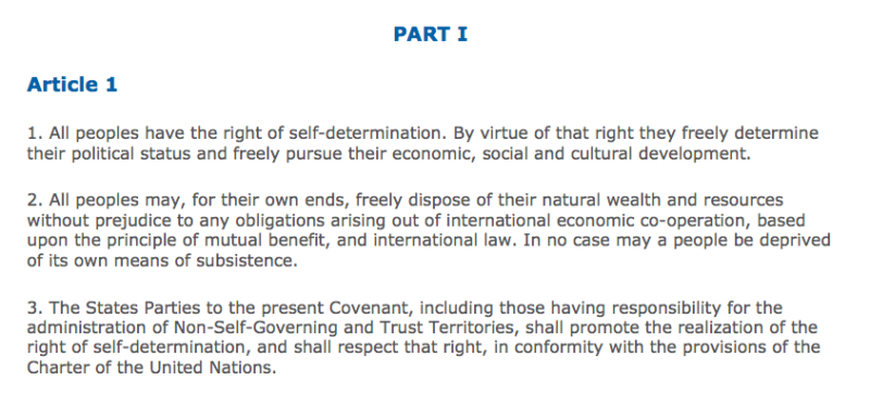 International Covenant On Civil And Political Rights Iccpr International Covenant on Civil and Political Rights – Partners for