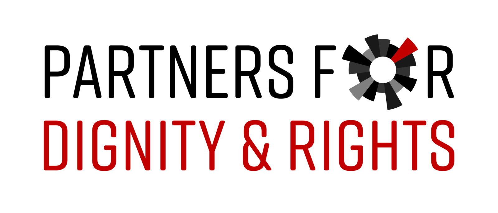 Partners for Dignity & Rights Logo_Horizontal_Color