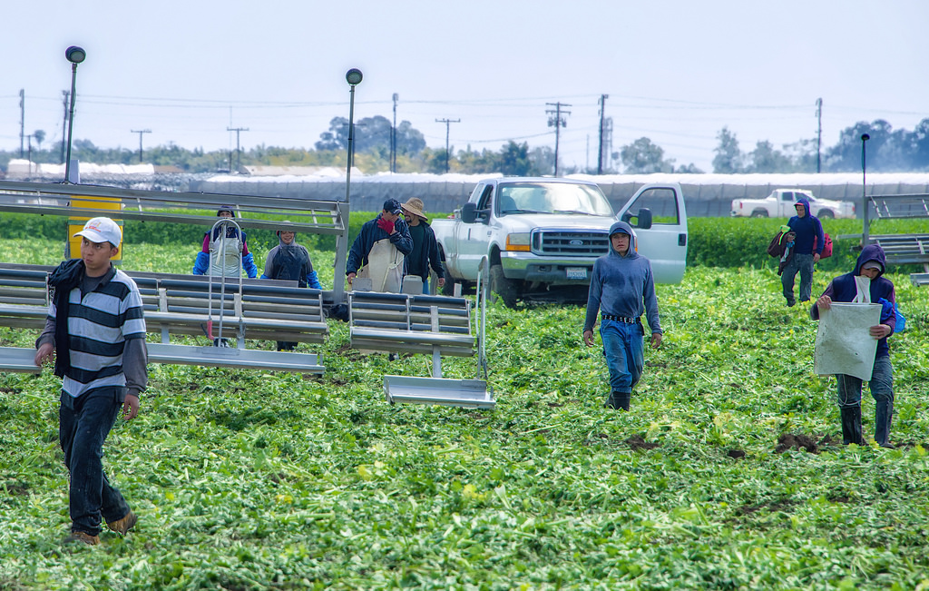Farm and ranch workers in New Mexico won workers' comp protection when the state's Supreme Court ruled their exclusion unconstitutional. Photo Credit: Russ Allison Loar via Compfight cc (Source: NM Political Report)